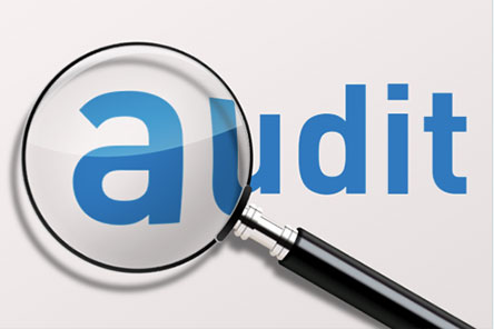 Auditing Techniques for Lead Auditors